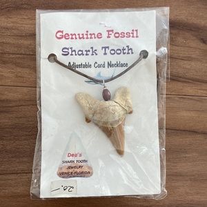 Shark Tooth Necklace